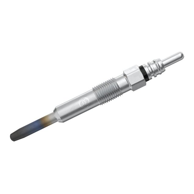 Glow Plug, BOSCH 0 250 202 022