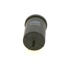 Fuel Filter, BOSCH 0 450 905 264