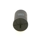 Fuel Filter, BOSCH 0 450 905 318