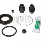 Repair Kit, brake caliper, BUDWEG CALIPER 203858