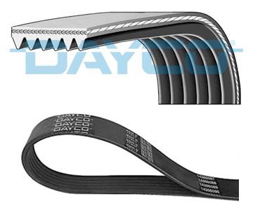 V-Ribbed Belt, DAYCO 6PK2460