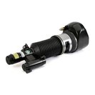 Air Suspension Strut, Arnott AS-3405
