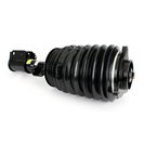Air Suspension Strut, Arnott AS-3898