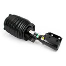 Air Suspension Strut, Arnott AS-3899