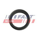 Seal Ring, charge air hose, Fast FT48953