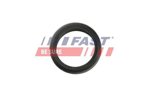 Seal Ring, charge air hose, Fast FT48953