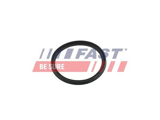 Seal, air filter housing intake hose, Fast FT49854