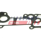 Gasket, coolant flange, Fast FT49904