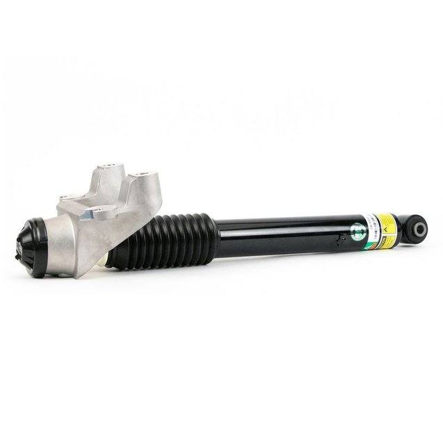 Shock Absorber, Arnott SK-3310