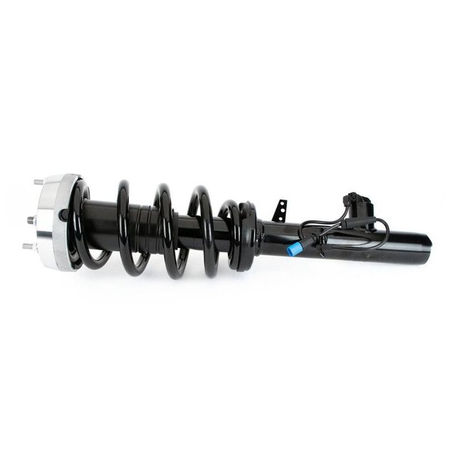 Shock Absorber, Arnott SK-3605