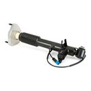 Shock Absorber, Arnott SK-3817