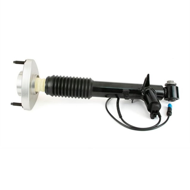 Shock Absorber, Arnott SK-3817