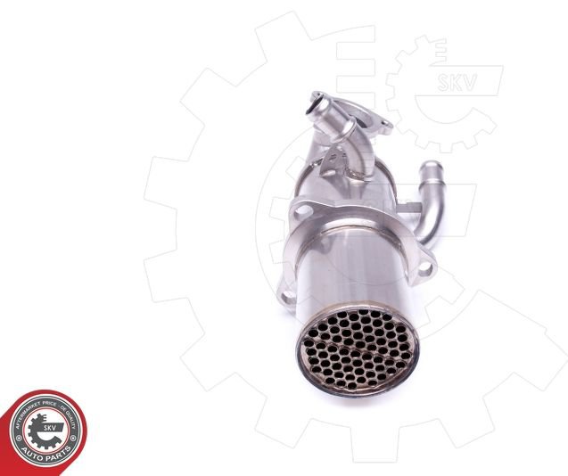 EGR Valve, ESEN SKV 14SKV222